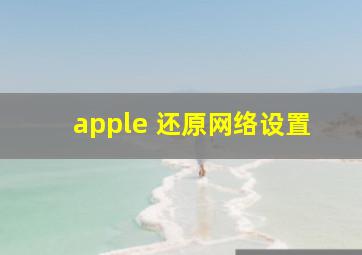 apple 还原网络设置